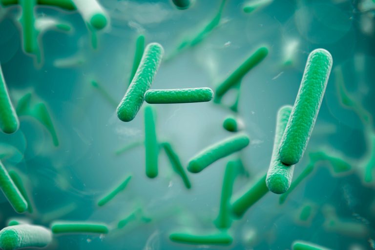 PTCB Guide to Macrolide Antibacterials.